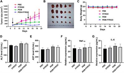 A Supramolecular Nanoparticle of Pemetrexed Improves the Anti-Tumor Effect by Inhibiting Mitochondrial Energy Metabolism